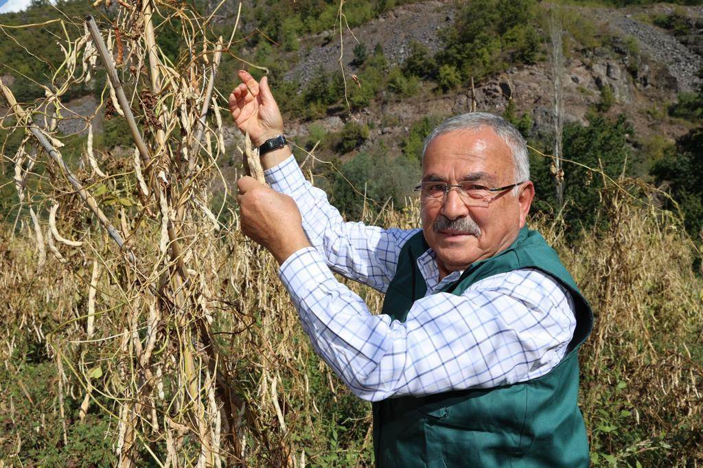 BAŞKAN GÜLER: 
